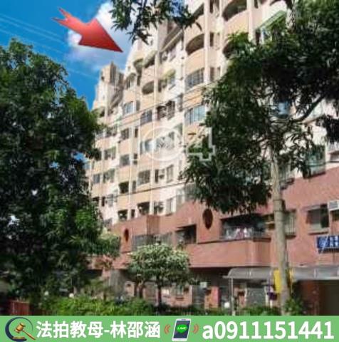 大樹法拍大樓-8