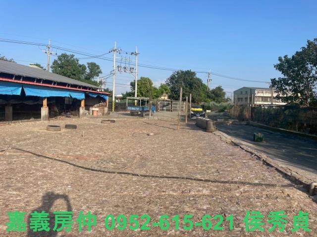 嘉義六腳牧場-5