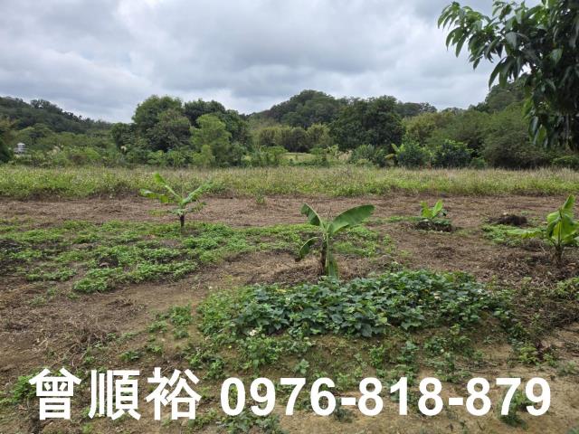 新竹竹東農舍-2