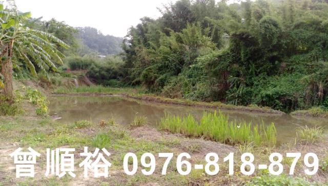 新竹竹東農舍-3