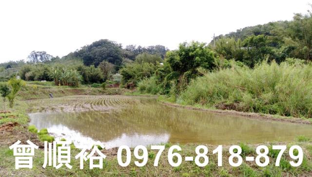 新竹竹東農舍-4