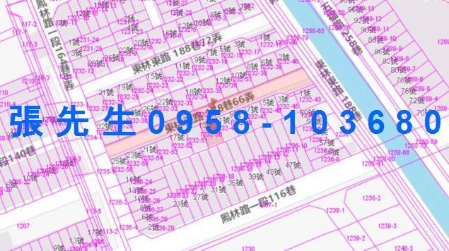 林園法拍透天-1