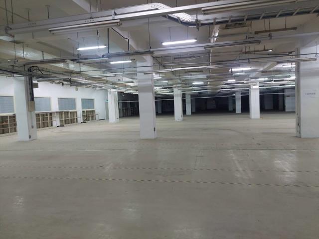 新北廠房-4