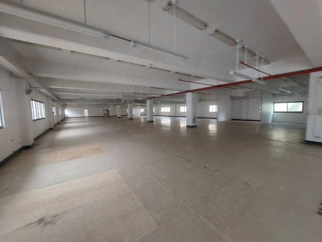 出租五股廠辦五股廠辦出租租五股廠辦五股廠辦租