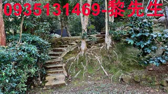 新竹尖石農舍-3