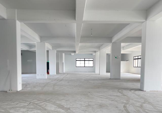 出租五股廠房五股廠房出租租五股廠房五股廠房租