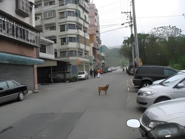 桃園區華廈法拍-4