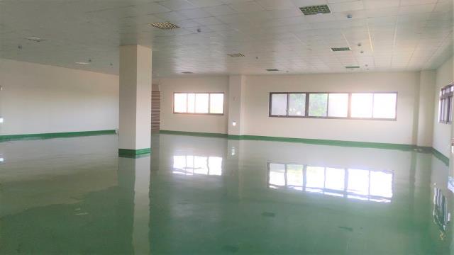 出租五股廠房五股廠房租租五股廠房五股廠房租