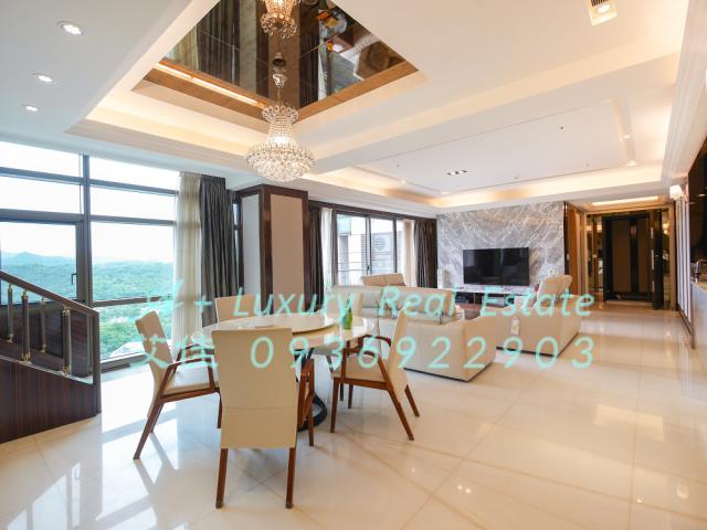 買內湖豪宅售台北市文心AIT樓中樓大露台湖景101景傭房泳池