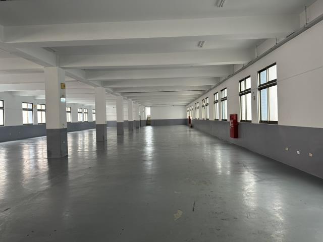 桃園龜山廠房-4