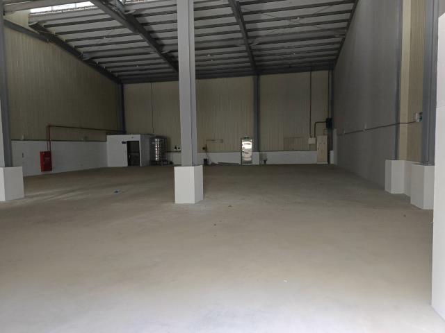 新北樹林廠房-4