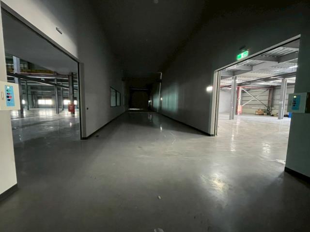 桃園廠房-3