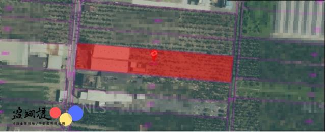 合法豬舍合法水權合法畜牧場豬舍