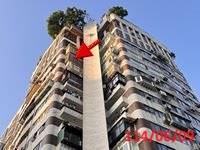 大安區大樓法拍-2