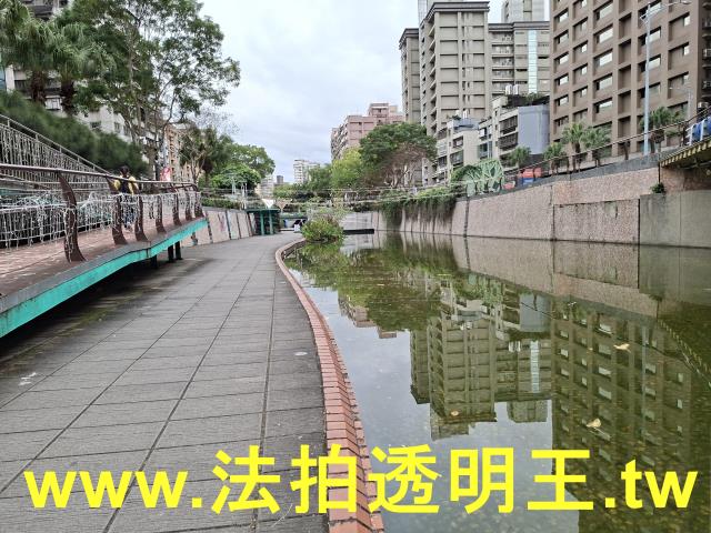 新北大樓法拍-5