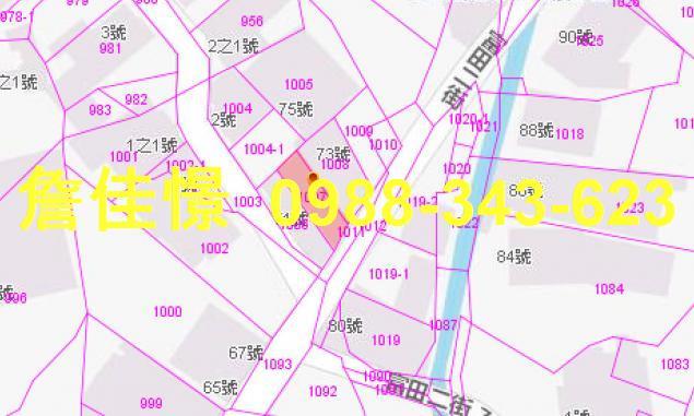 花蓮法拍透天-2