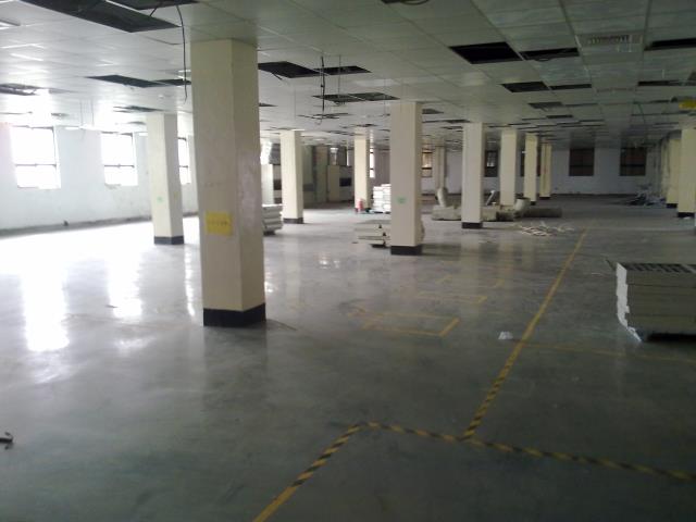 桃園中壢廠房-1