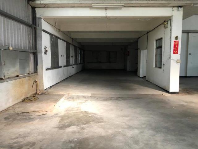 桃園新屋廠房-0
