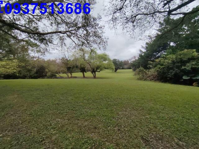 宜蘭羅東華廈-13