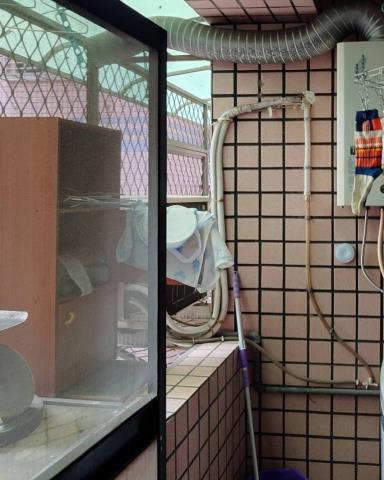 新北新莊大樓法拍-3