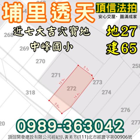 埔里法拍透天-2