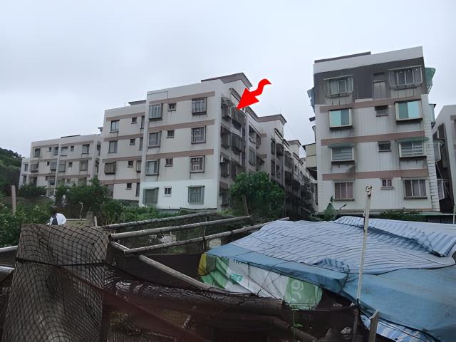 中正區公寓法拍-1