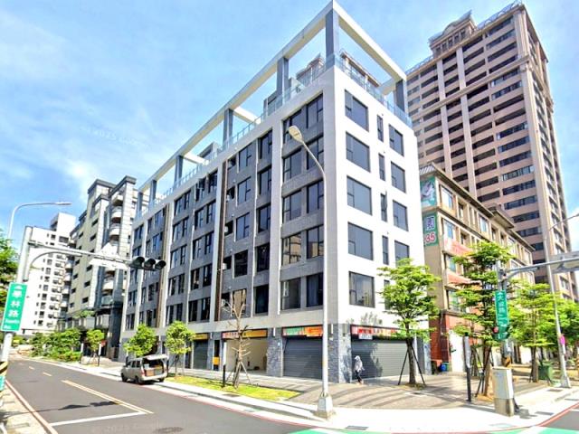 新北樹林拍賣華廈-2