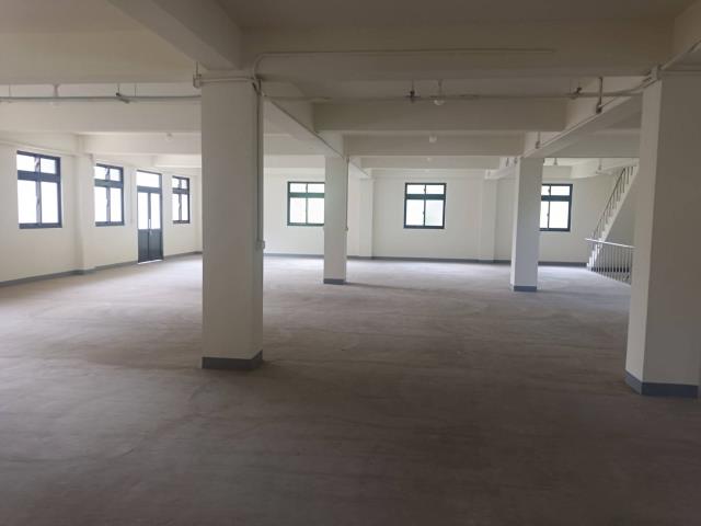 新北鶯歌廠房-1