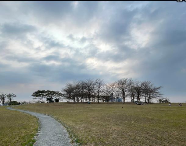 高雄法拍華廈-2