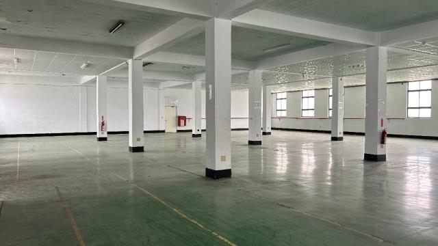 桃園廠房-1