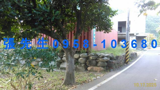 花蓮法拍透天-1