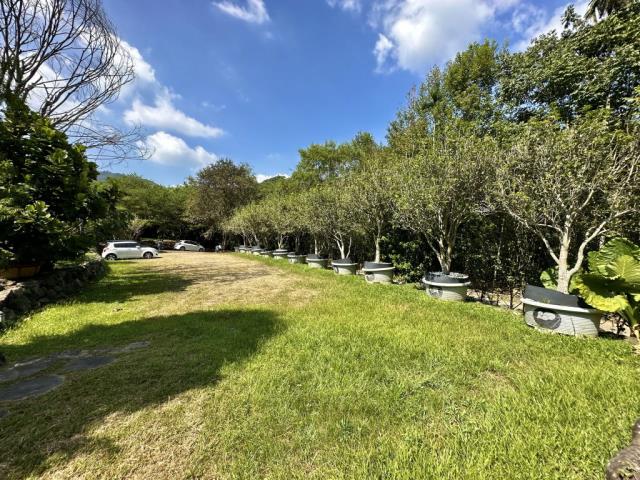 南投國姓透天-10