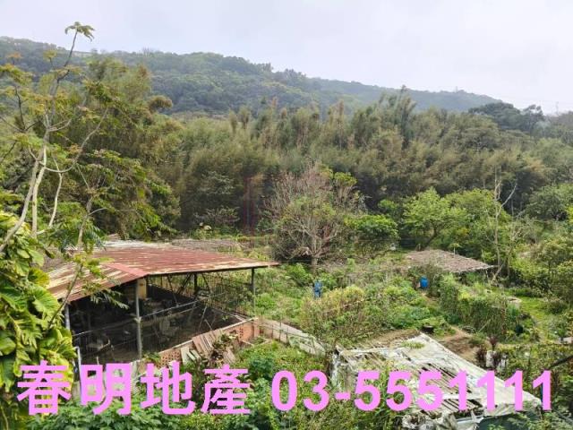 新竹湖口透天-5