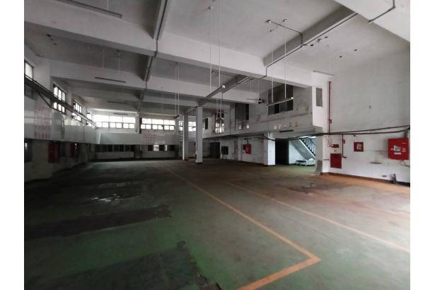 桃園中壢廠房-0