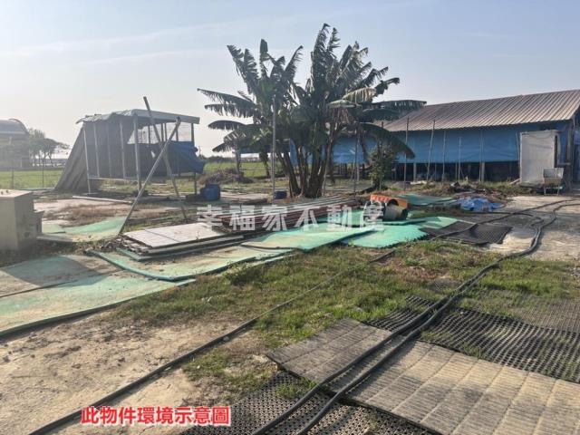 後壁畜牧設施雞舍-10