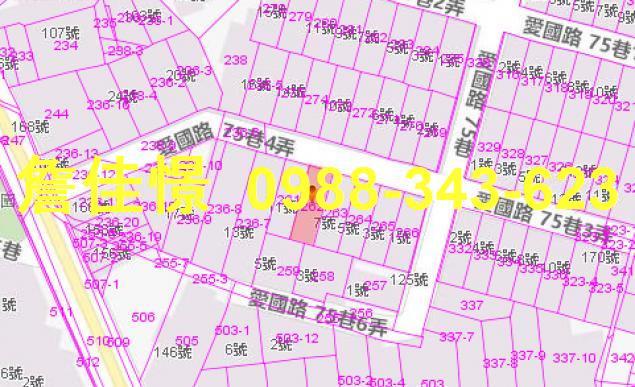 羅東法拍透天-1