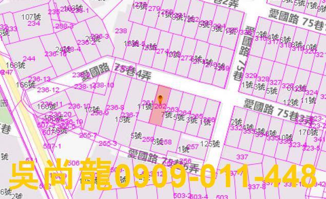 宜蘭法拍透天-2