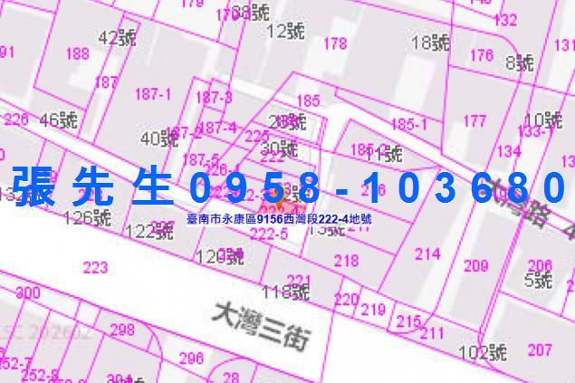 台南法拍透天-4