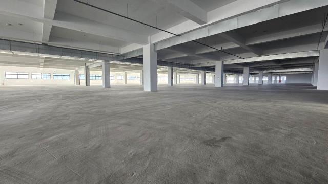 新屋廠房-3