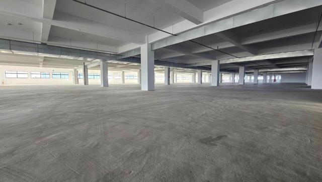 桃園新屋廠房-2
