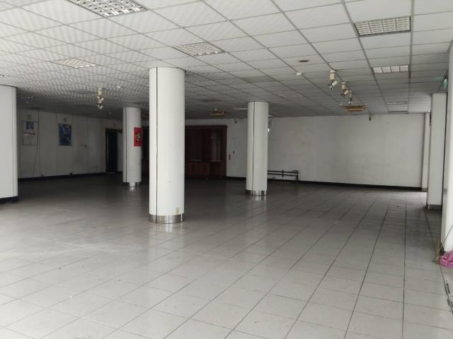 可廠登竹北近台元角地廠房