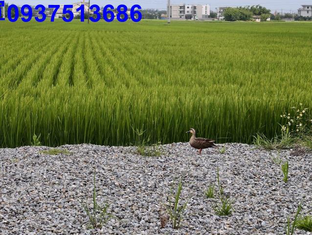 壯圍資材室-2