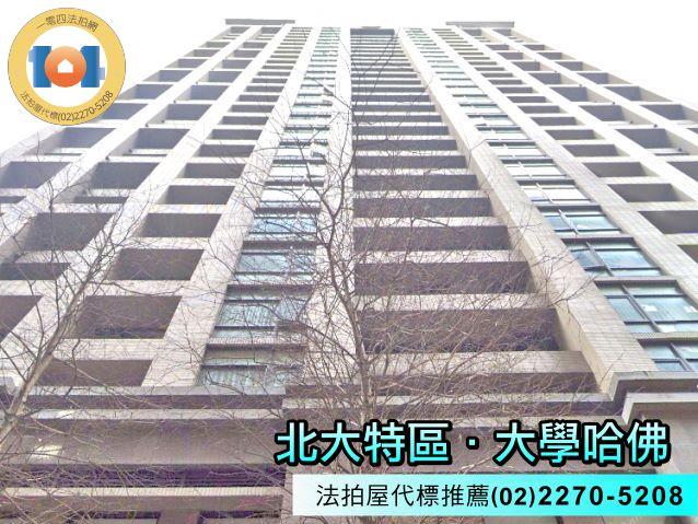 新北樹林法拍大樓-1