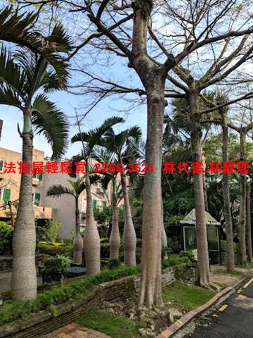 新北淡水法拍透天-6