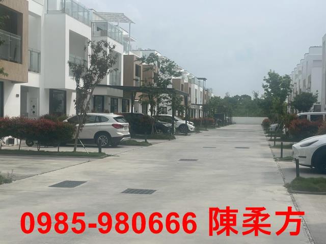 大埔美工業區全新別墅