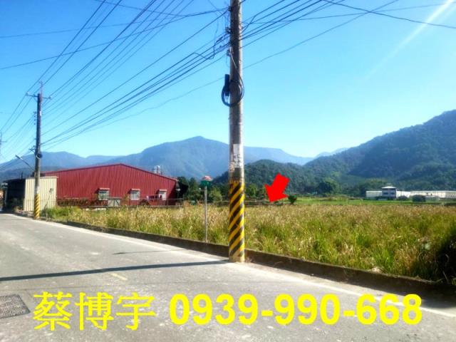 埔里鎮珠生路法拍屋