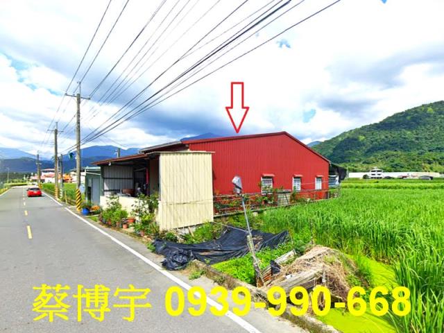埔里法拍屋珠生路透天