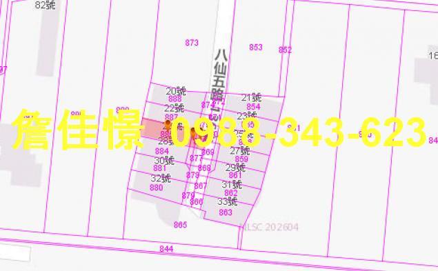 冬山法拍透天-2