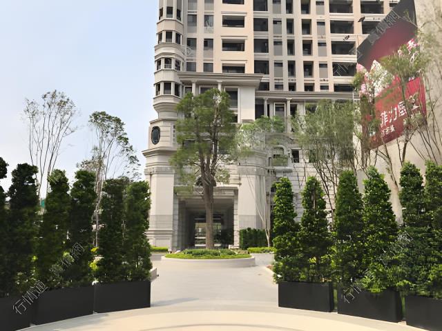 西屯法拍大樓-2