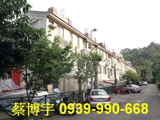 大坑天星國家別墅法拍